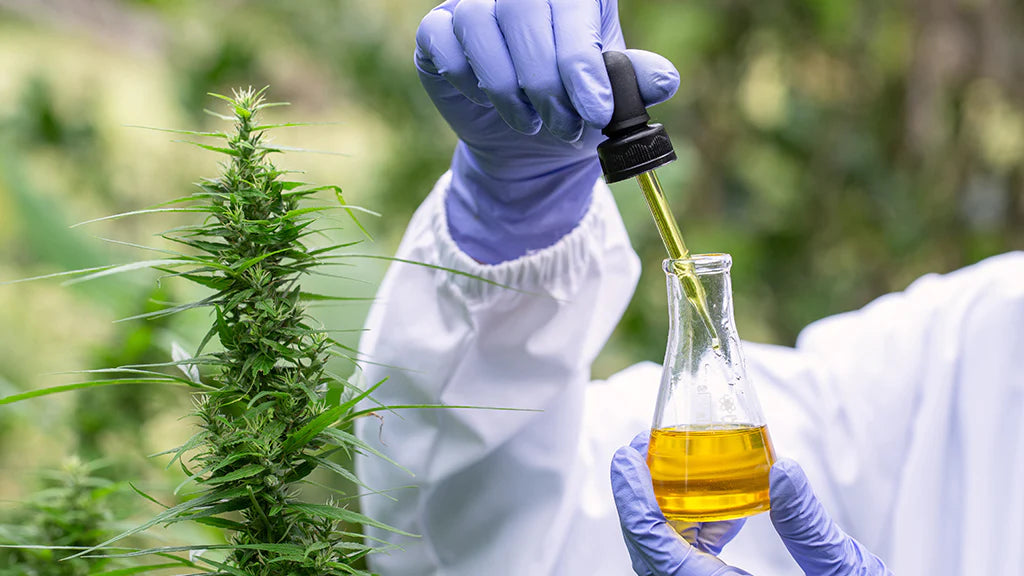 3 Reasons Why CBD Third-Party Testing Is Important